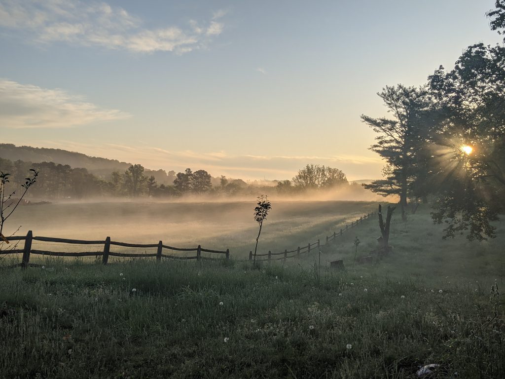 The Farm in Orange at dawn